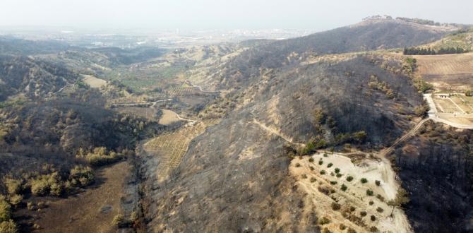 TÜSİKON Hatay için seferber oldu