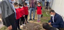 Fidan dikerek Hatay’daki orman yangınına dikkat çektiler