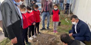 Fidan dikerek Hatay’daki orman yangınına dikkat çektiler