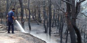 Hatay’da yanan ağaçlar soğutuluyor