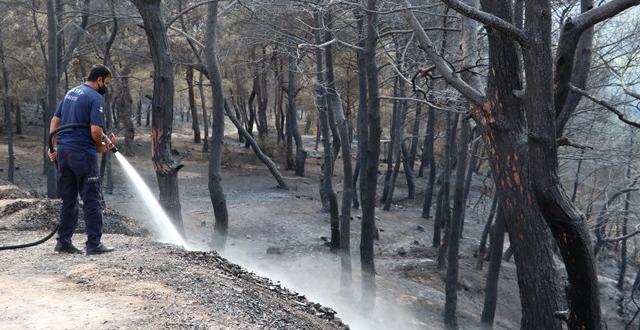 Hatay’da yanan ağaçlar soğutuluyor