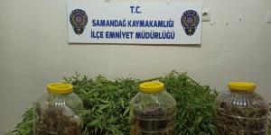 Uyuşturucuyu turşu bidonlarında saklamış