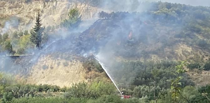 Samandağ’da bitki örtüsü yangını