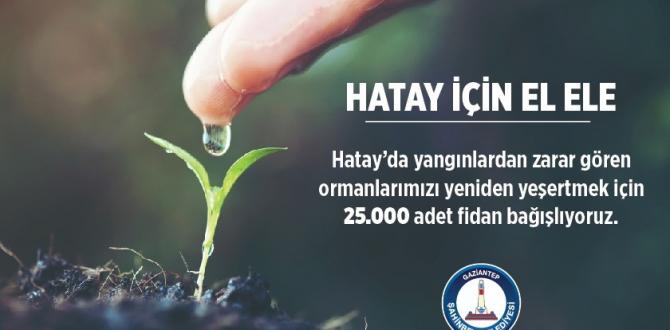 Şahinbey Belediyesi’nden Hatay’a 25 bin fidan