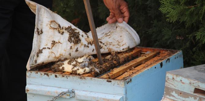 Hatay’daki yangında binden fazla arı kovanı yandı