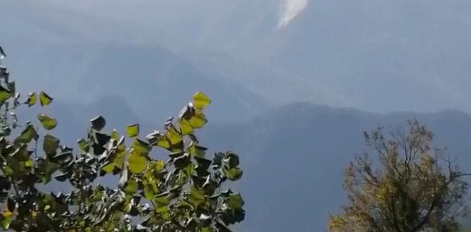 Hatay’da 2 terörist etkisiz hale getirildi