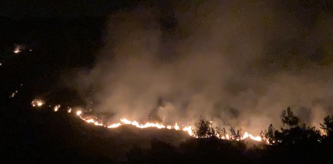 Hatay’da yangın kontrol altına alındı