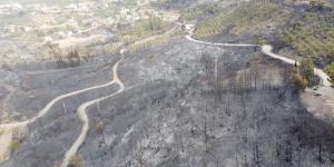 Hatay’da yanan alanlar havadan görüntülendi