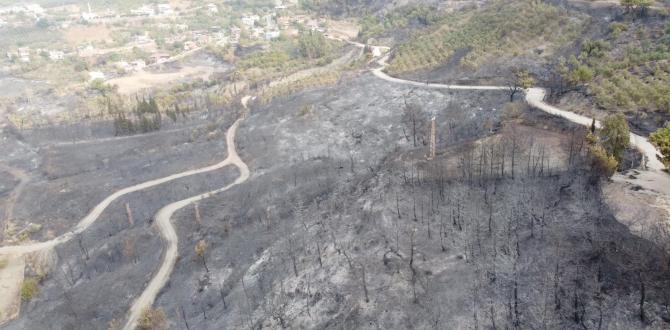 Hatay’da yanan alanlar havadan görüntülendi
