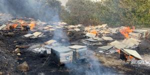 Samandağ’daki yangında arı kovanları kül oldu