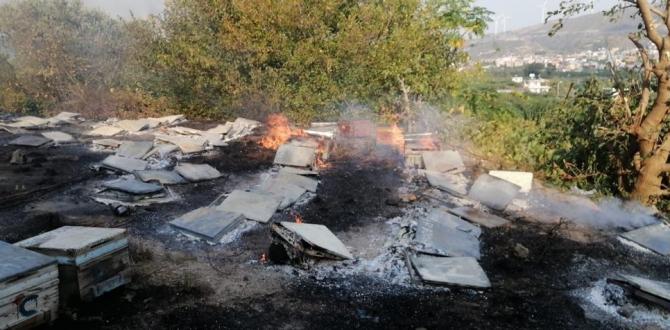 Samandağ’daki yangın sigara izmaritten çıkmış