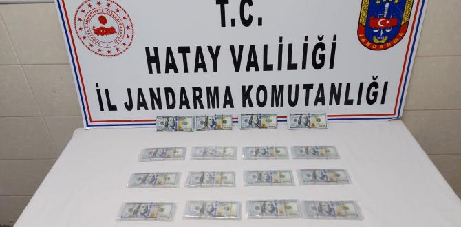 Hatay’da sahte para operasyonu