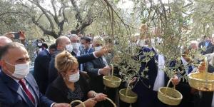 Hatay’da temsili zeytin hasadı