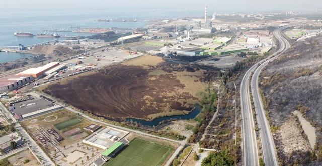 İskenderun’da 55 dönümlük kuş cenneti de kül oldu
