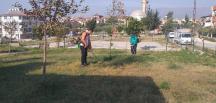PARK VE YEŞİL ALANLARDA BAKIM VE ONARIM ÇALIŞMALARI YAPILMAYA DEVAM EDİYOR