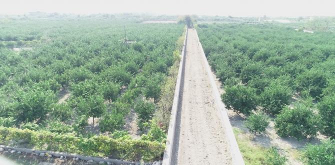 KAPISUYU MAHALLESİ’NDE 100 YILLIK SORUN ÇÖZÜLEREK 500 DÖNÜM ARAZİ SULAR ALTINDA KALMAKTAN KURTARILDI