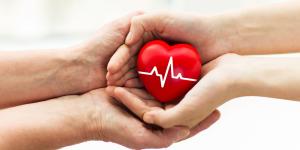 BEYİN ÖLÜMÜ İLE BİTKİSEL HAYAT FARKI YETERİNCE BİLİNMİYOR!