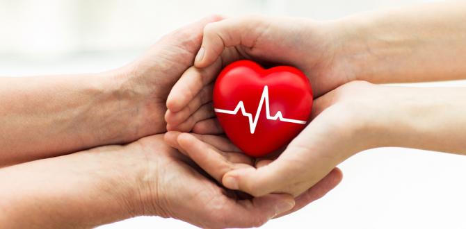 BEYİN ÖLÜMÜ İLE BİTKİSEL HAYAT FARKI YETERİNCE BİLİNMİYOR!