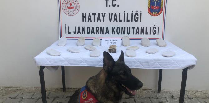 Nar ağacı altına gömülü 3 kilo esrar ele geçirildi