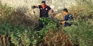 Dereye düşen yavru köpeği itfaiye kurtardı