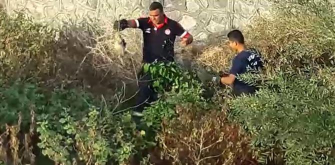 Dereye düşen yavru köpeği itfaiye kurtardı