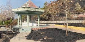 Hatay’daki orman yangınında dikkat çeken detay