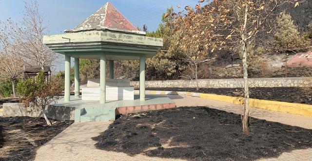 Hatay’daki orman yangınında dikkat çeken detay