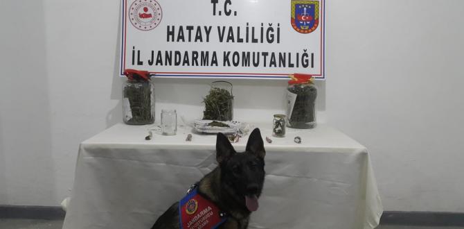 Hatay’da uyuşturucu operasyonu: 1 tutuklama