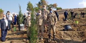 Hatay’da yanan ormanlık alanlar fidanlarla buluştu