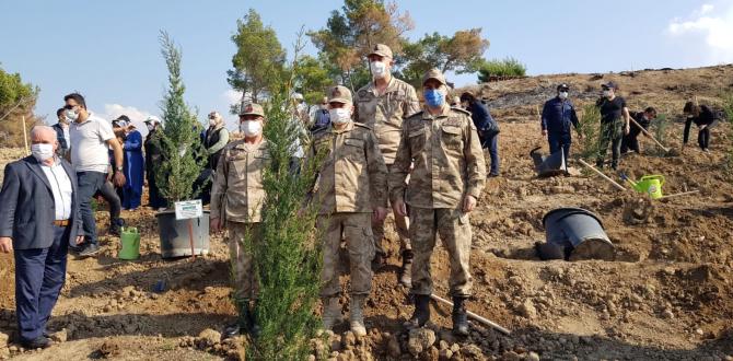 Hatay’da yanan ormanlık alanlar fidanlarla buluştu