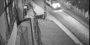 Mandalina hırsızları yakalandı