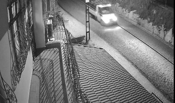 Mandalina hırsızları yakalandı