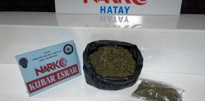 Hatay’da uyuşturucu operasyonu: 2 gözaltı