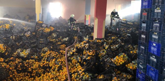 Depodaki yangında 10 ton mandalina zarar gördü
