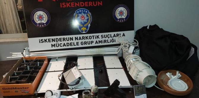 Evine uyuşturucu serası kurmuş