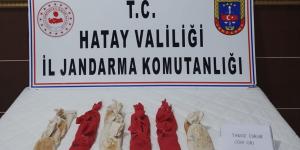 Hatay’da tarlada uyuşturucu ele geçirildi