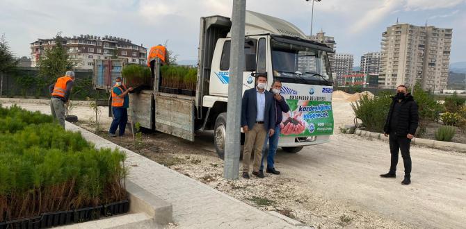 KARADENİZ’İN FİDANLARI, AKDENİZ’DE YEŞERECEK