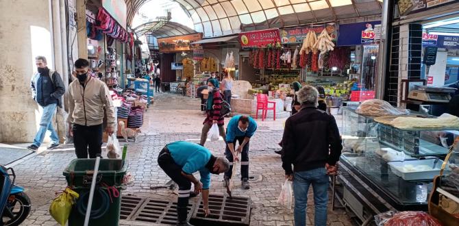 ÇARŞI BÖLGESİNDE MAZGALLARDA BAKIM VE TEMİZLİK ÇALIŞMALARI