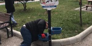 ANTAKYA BELEDİYESİ SOKAK HAYVANLARINI UNUTMADI