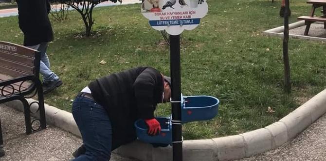 ANTAKYA BELEDİYESİ SOKAK HAYVANLARINI UNUTMADI