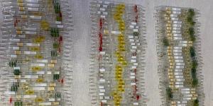 Hatay’da 152 tüp yılan zehri ele geçirildi