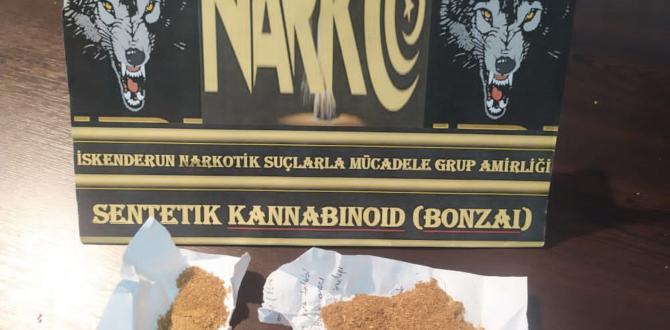 İskenderun’da uyuşturucu operasyonu: 2 gözaltı