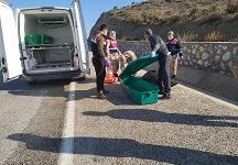 Hatay’da yol kenarında ceset bulundu