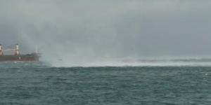 Hortum denizdeki martıları böyle savurdu