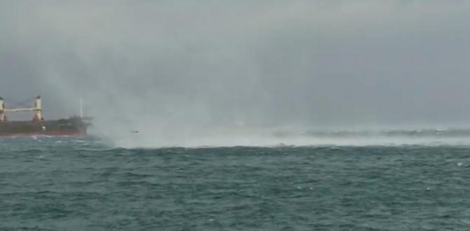 Hortum denizdeki martıları böyle savurdu