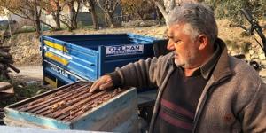 Hatay’ın şifa kaynağı: “Püren balı”