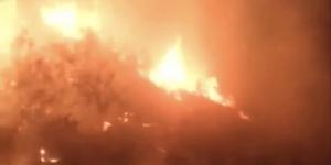 Hatay’da zeytinlik yangını 5 saatte kontrol altına alındı