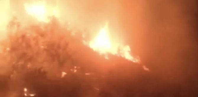 Hatay’da zeytinlik yangını 5 saatte kontrol altına alındı