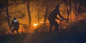 Hatay’da havai fişek ormanda yangına neden oldu