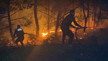 Hatay’da havai fişek ormanda yangına neden oldu